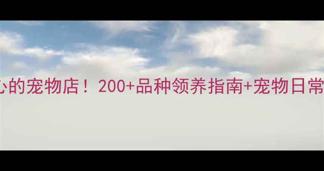 图片 郑州最暖心的宠物店！200+品种领养指南+宠物日常全攻略🐾2