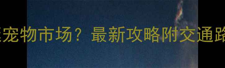 图片 郴州哪里可以逛宠物市场？最新攻略附交通路线+避坑指南！