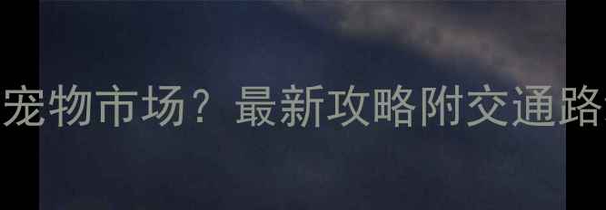 图片 郴州哪里可以逛宠物市场？最新攻略附交通路线+避坑指南！1