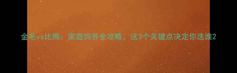 图片 金毛vs比熊：家庭饲养全攻略，这3个关键点决定你选谁2