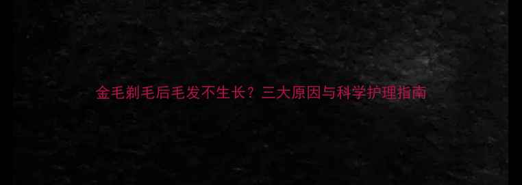 图片 金毛剃毛后毛发不生长？三大原因与科学护理指南
