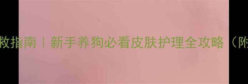 图片 金毛后背痘痘自救指南｜新手养狗必看皮肤护理全攻略（附专业医生建议）