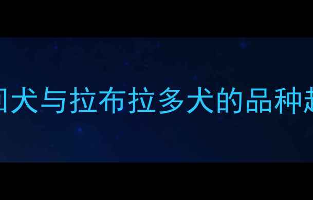 图片 金毛寻回犬与拉布拉多犬的品种起源对比