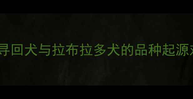 图片 金毛寻回犬与拉布拉多犬的品种起源对比2
