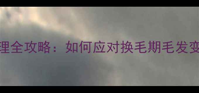 图片 金毛寻回犬毛发护理全攻略：如何应对换毛期毛发变硬及日常养护技巧