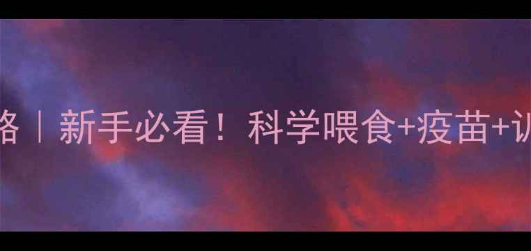 图片 金毛幼犬2个月喂养全攻略｜新手必看！科学喂食+疫苗+训练清单（附食谱）💕🐾1