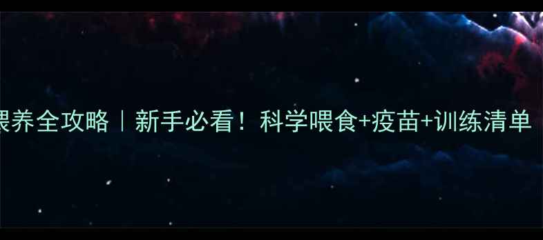 图片 金毛幼犬2个月喂养全攻略｜新手必看！科学喂食+疫苗+训练清单（附食谱）💕🐾2