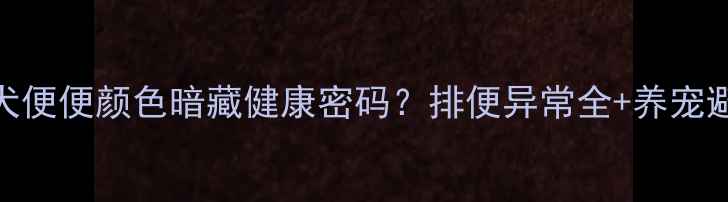 图片 金毛幼犬便便颜色暗藏健康密码？排便异常全+养宠避坑指南