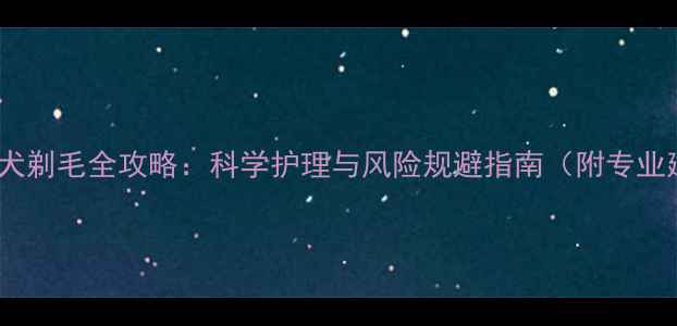 图片 金毛幼犬剃毛全攻略：科学护理与风险规避指南（附专业建议）1