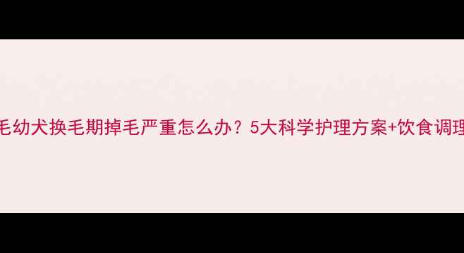 图片 金毛幼犬换毛期掉毛严重怎么办？5大科学护理方案+饮食调理全