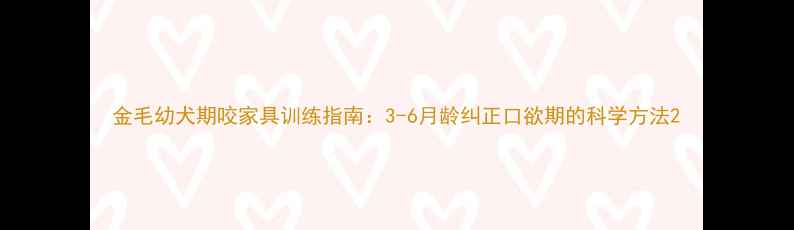 图片 金毛幼犬期咬家具训练指南：3-6月龄纠正口欲期的科学方法2