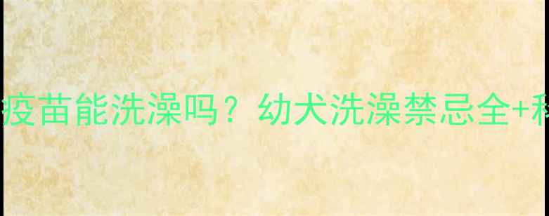 图片 金毛幼犬未打疫苗能洗澡吗？幼犬洗澡禁忌全+科学护理指南2
