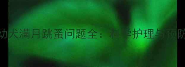 图片 金毛幼犬满月跳蚤问题全：科学护理与预防指南