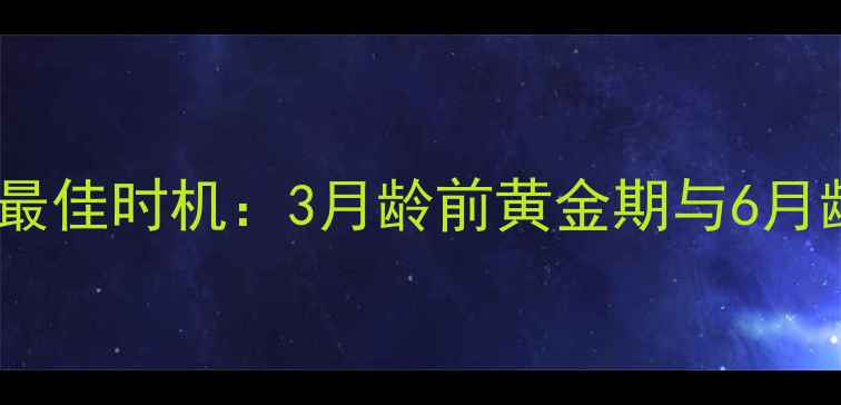 图片 金毛幼犬训练最佳时机：3月龄前黄金期与6月龄分阶段指南1