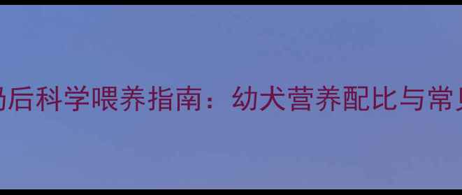 图片 金毛断奶后科学喂养指南：幼犬营养配比与常见误区全