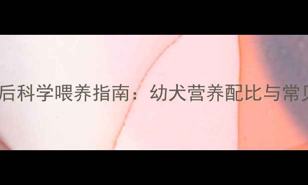 图片 金毛断奶后科学喂养指南：幼犬营养配比与常见误区全2