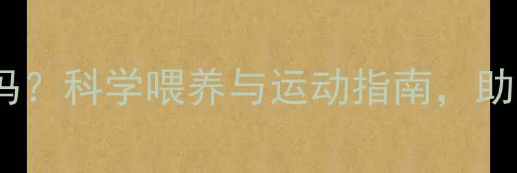 图片 金毛犬60多斤算超重吗？科学喂养与运动指南，助您打造健康金毛体型1