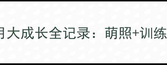 图片 金毛犬8个月大成长全记录：萌照+训练+护理指南1