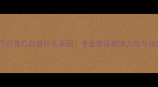 图片 金毛犬下巴骨凸起是什么原因？专业兽医解决方法与预防措施2