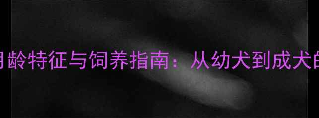 图片 金毛犬不同月龄特征与饲养指南：从幼犬到成犬的贴心养护全