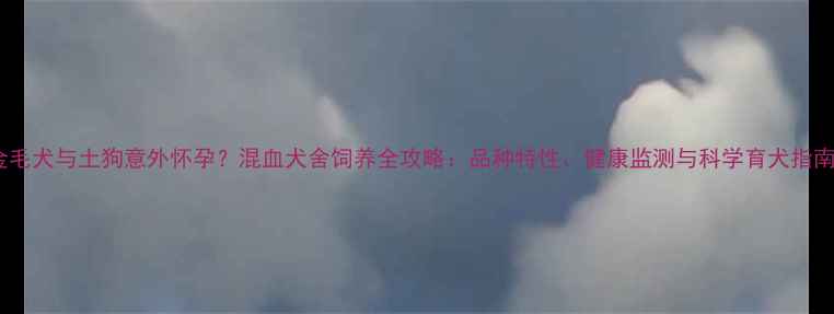 图片 金毛犬与土狗意外怀孕？混血犬舍饲养全攻略：品种特性、健康监测与科学育犬指南1