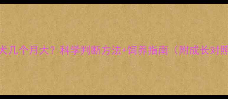 图片 金毛犬几个月大？科学判断方法+饲养指南（附成长对照表）