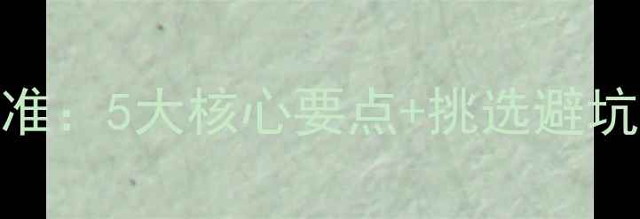 图片 金毛犬品相评分标准：5大核心要点+挑选避坑指南（附对比图）