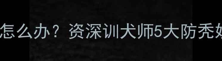 图片 金毛犬夏季掉毛严重怎么办？资深训犬师5大防秃妙招与日常护理指南1