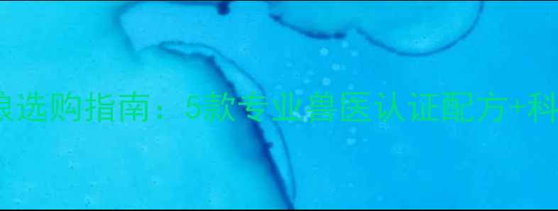 图片 金毛犬天然狗粮选购指南：5款专业兽医认证配方+科学喂养全攻略2