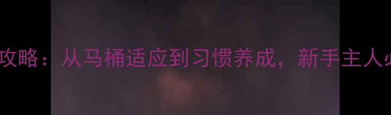 图片 金毛犬如厕训练全攻略：从马桶适应到习惯养成，新手主人必看的5大关键步骤