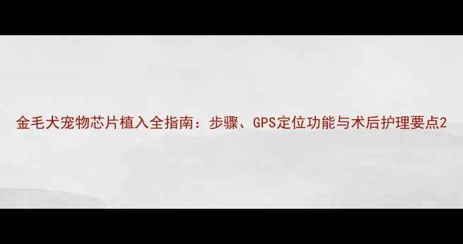 图片 金毛犬宠物芯片植入全指南：步骤、GPS定位功能与术后护理要点2