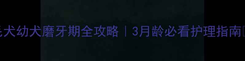图片 金毛犬幼犬磨牙期全攻略｜3月龄必看护理指南🐾💡