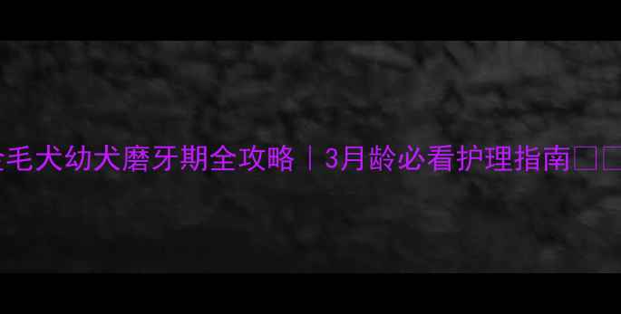 图片 金毛犬幼犬磨牙期全攻略｜3月龄必看护理指南🐾💡2