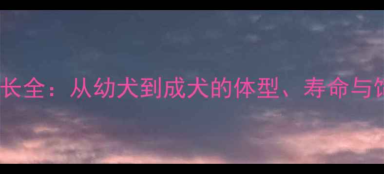 图片 金毛犬成长全：从幼犬到成犬的体型、寿命与饲养指南2