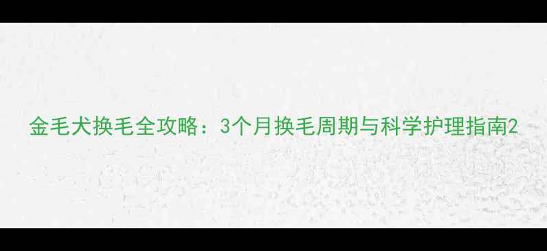 图片 金毛犬换毛全攻略：3个月换毛周期与科学护理指南2