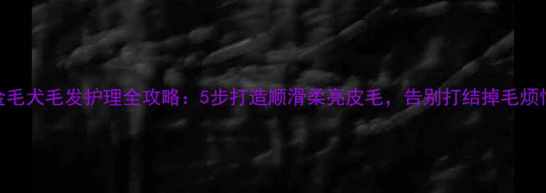 图片 金毛犬毛发护理全攻略：5步打造顺滑柔亮皮毛，告别打结掉毛烦恼
