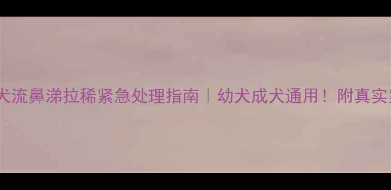 图片 金毛犬流鼻涕拉稀紧急处理指南｜幼犬成犬通用！附真实案例1