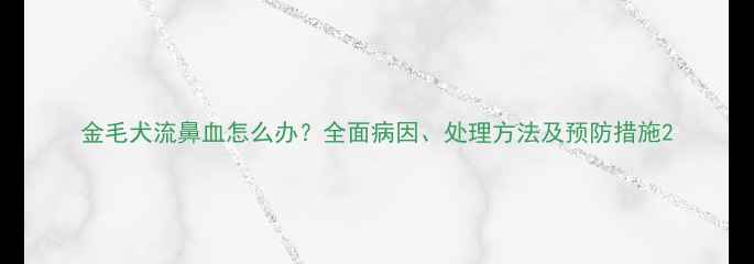 图片 金毛犬流鼻血怎么办？全面病因、处理方法及预防措施2