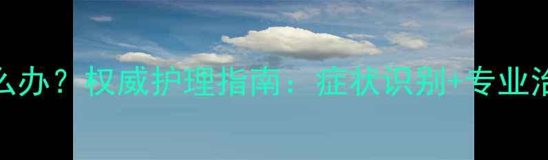 图片 金毛犬皮肤病怎么办？权威护理指南：症状识别+专业治疗+预防复发全2