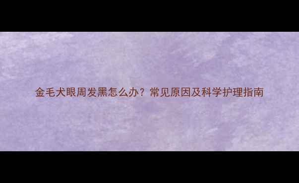 图片 金毛犬眼周发黑怎么办？常见原因及科学护理指南