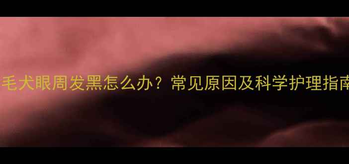 图片 金毛犬眼周发黑怎么办？常见原因及科学护理指南1