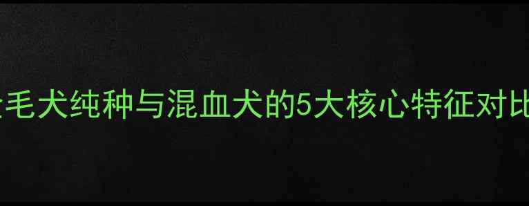 图片 金毛犬纯种与混血犬的5大核心特征对比2