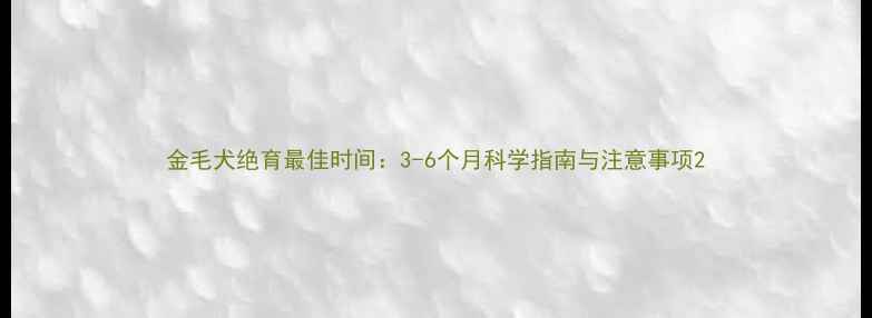 图片 金毛犬绝育最佳时间：3-6个月科学指南与注意事项2