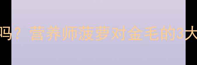 图片 金毛犬能吃菠萝吗？营养师菠萝对金毛的3大好处与2大禁忌2