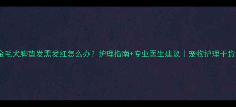 图片 金毛犬脚垫发黑发红怎么办？护理指南+专业医生建议｜宠物护理干货1
