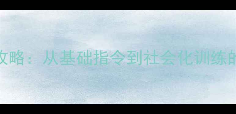 图片 金毛犬训练全攻略：从基础指令到社会化训练的5大关键步骤1