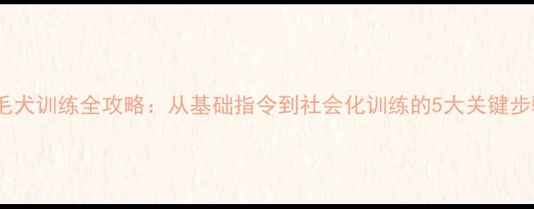 图片 金毛犬训练全攻略：从基础指令到社会化训练的5大关键步骤2