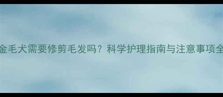 图片 金毛犬需要修剪毛发吗？科学护理指南与注意事项全