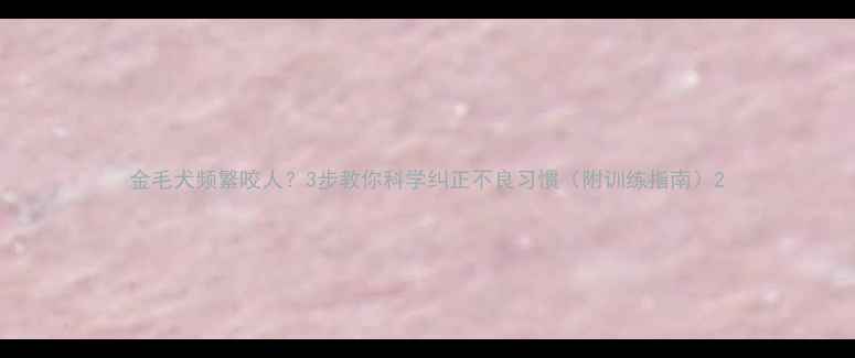 图片 金毛犬频繁咬人？3步教你科学纠正不良习惯（附训练指南）2