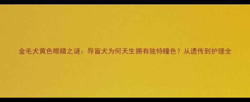 图片 金毛犬黄色眼睛之谜：导盲犬为何天生拥有独特瞳色？从遗传到护理全